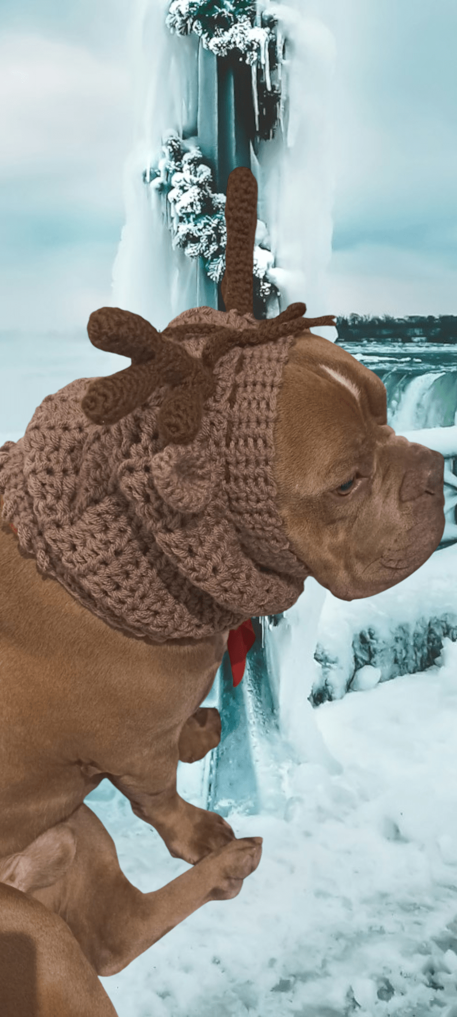 Dog wearing hand-crocheted reindeer snood in brown yarn, snowy winter background